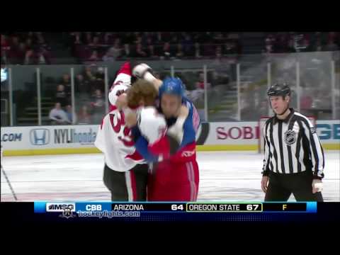 M. Carkner (OTT) vs. D. Brashear (NYR)