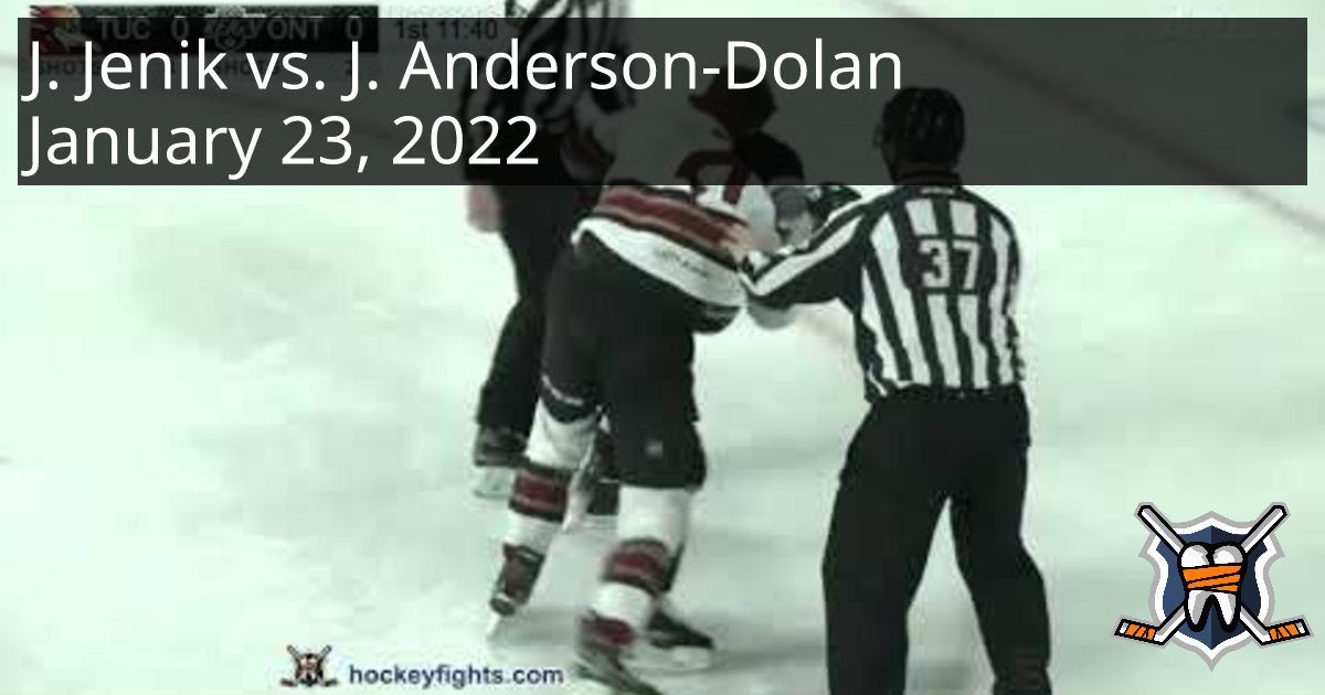 www.hockeyfights.com