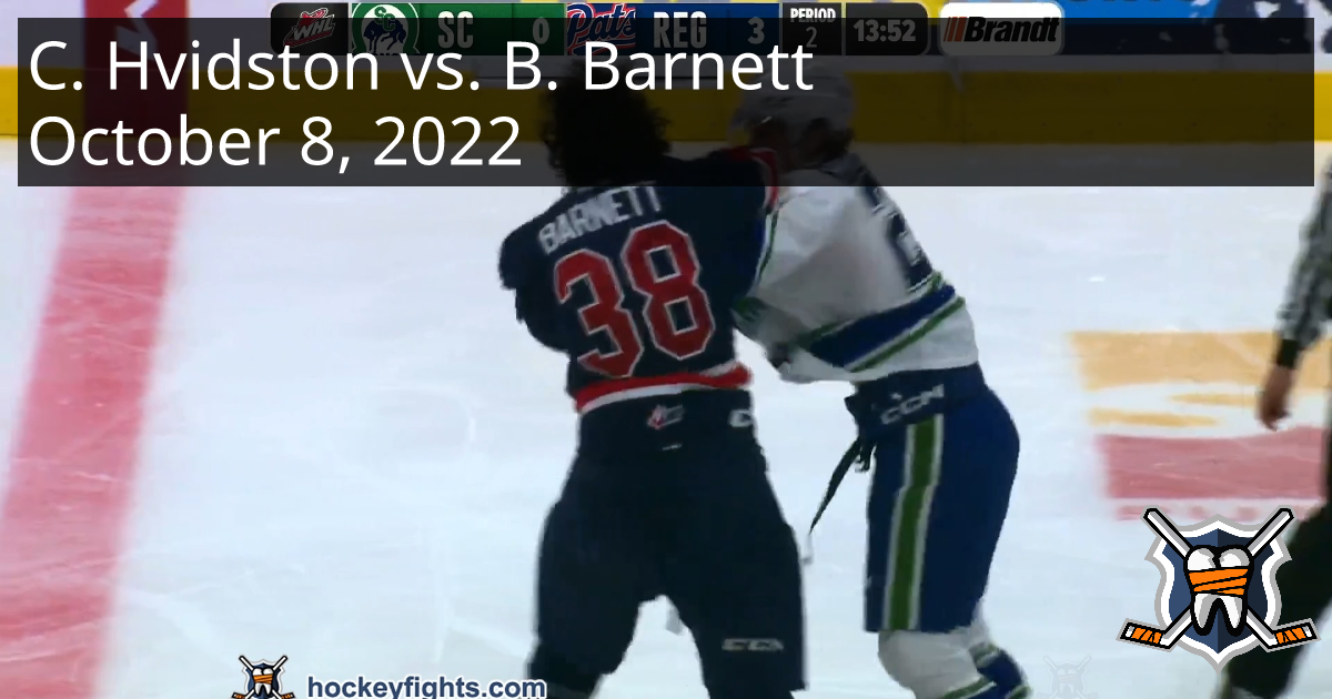 www.hockeyfights.com