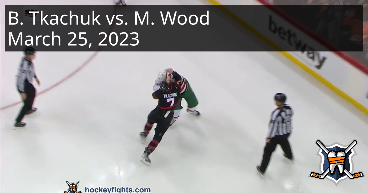 Brady Tkachuk Vs. Miles Wood, March 25, 2023 - Ottawa Senators Vs. New ...